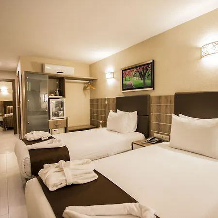 Hotel Business 3*