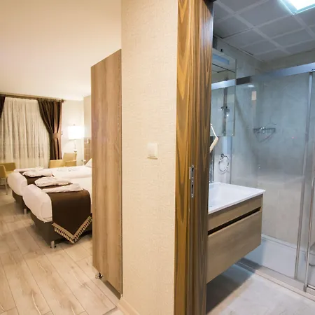 Business Hotel 3*