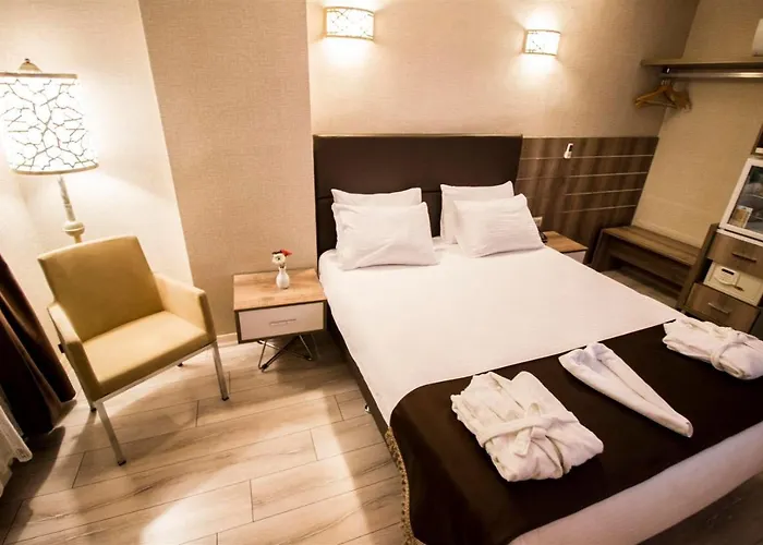 Business Hotel 3*